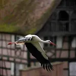 Appartement Coeur Alsace Colmar