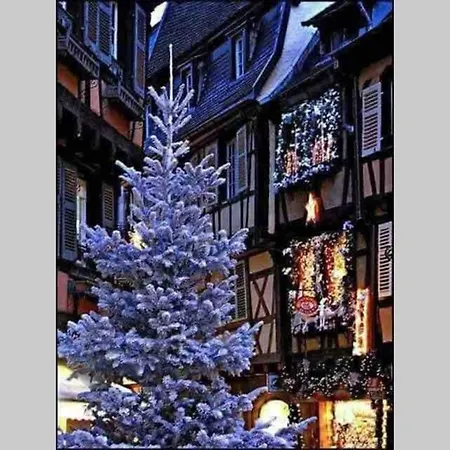 Coeur Alsace * Кольмар
