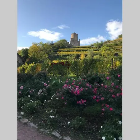 Apartamento Coeur Alsace Colmar