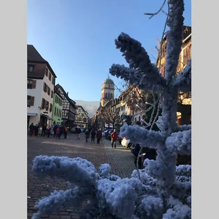 Coeur Alsace Кольмар