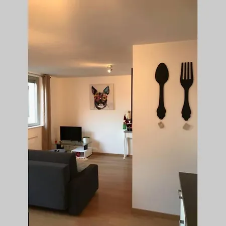 Coeur Alsace Apartment