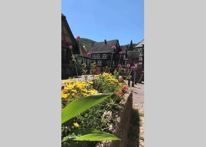 Coeur Alsace 아파트 *