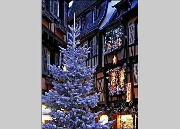 Coeur Alsace * 콜마