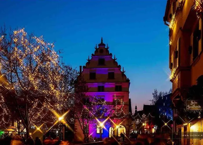 Coeur Alsace 아파트 콜마