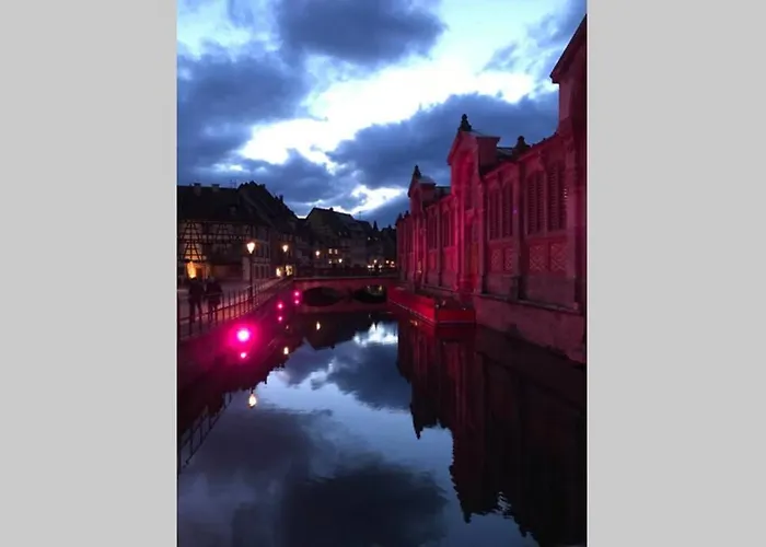 Coeur Alsace 아파트 콜마