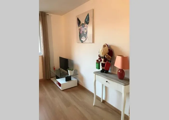 아파트 Coeur Alsace *