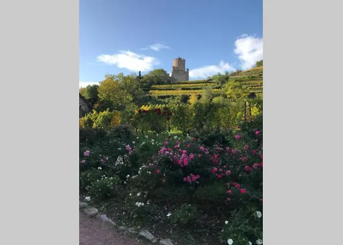 아파트 Coeur Alsace 콜마