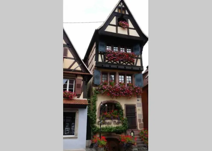Coeur Alsace 아파트 *