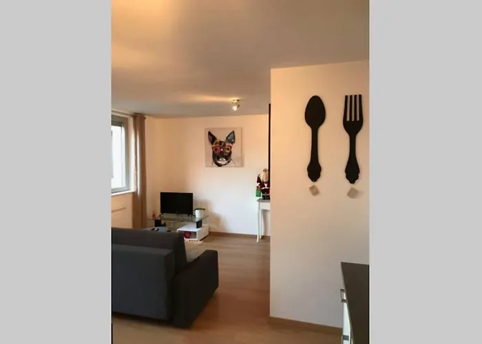 Coeur Alsace 아파트