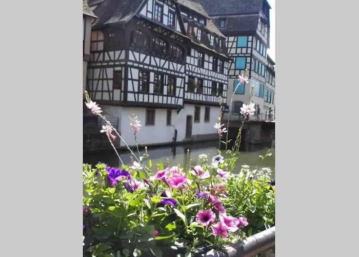 아파트 Coeur Alsace