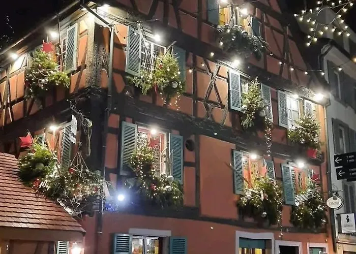 Coeur Alsace 아파트 콜마